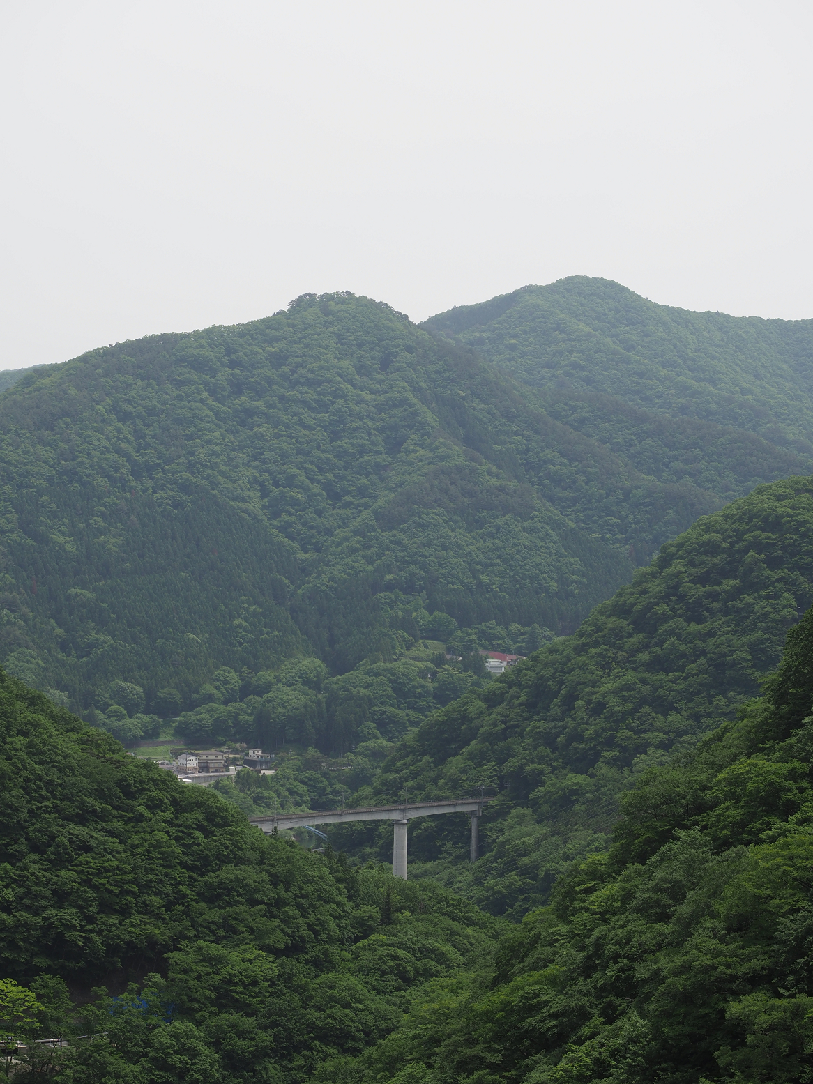 P5260813.jpg