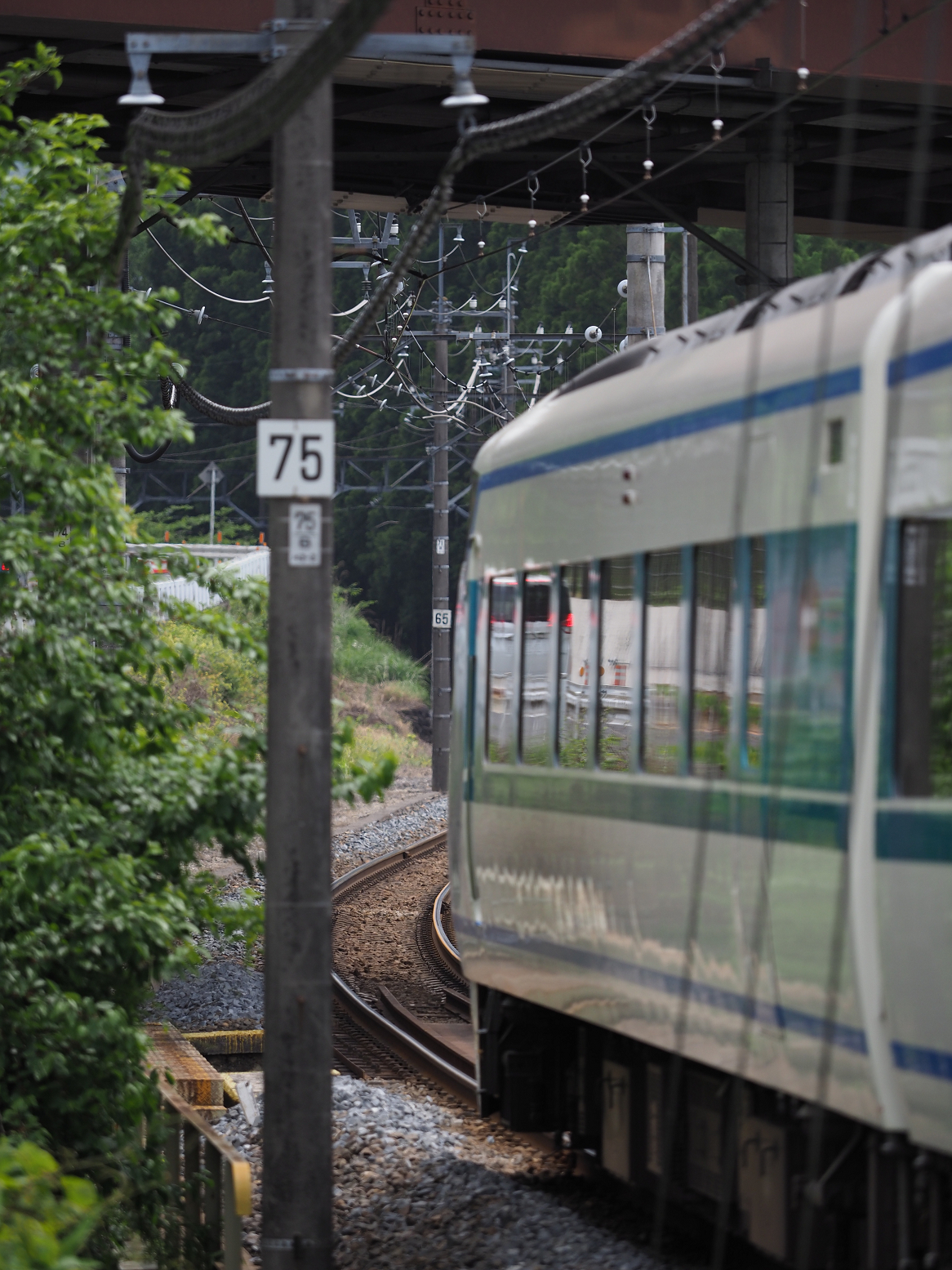 P5260833.jpg