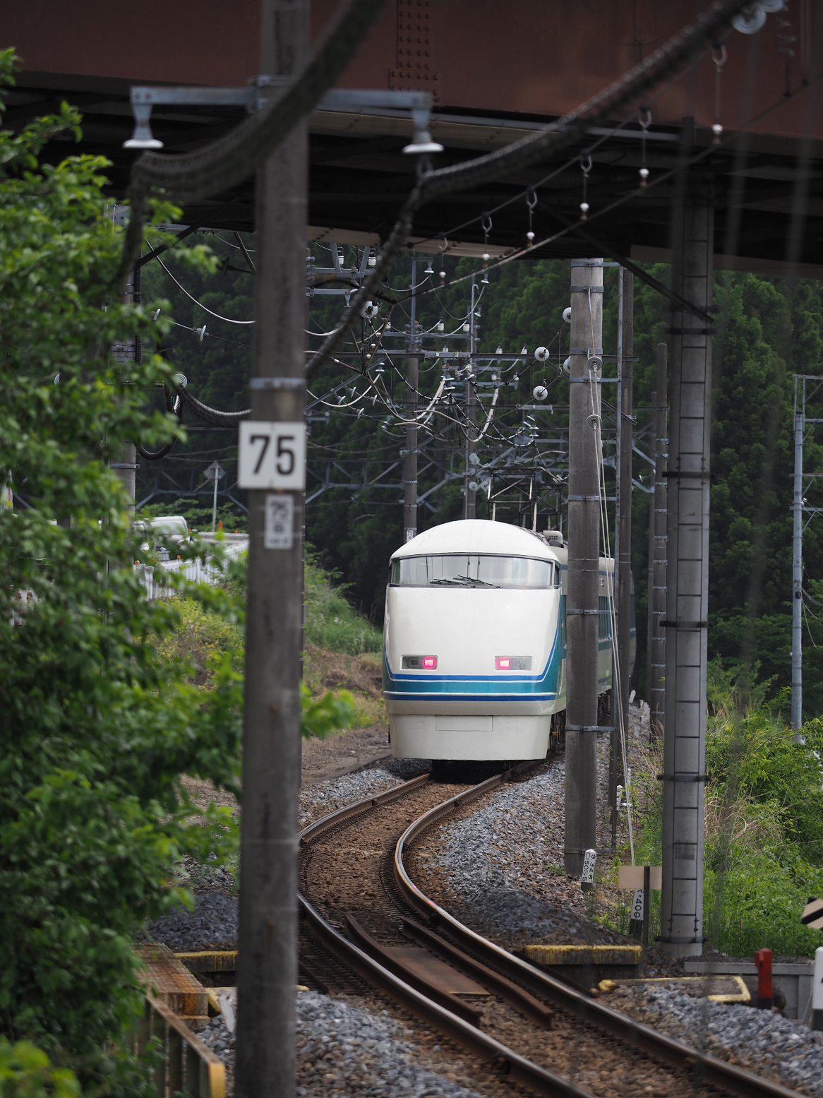 P5260840.jpg