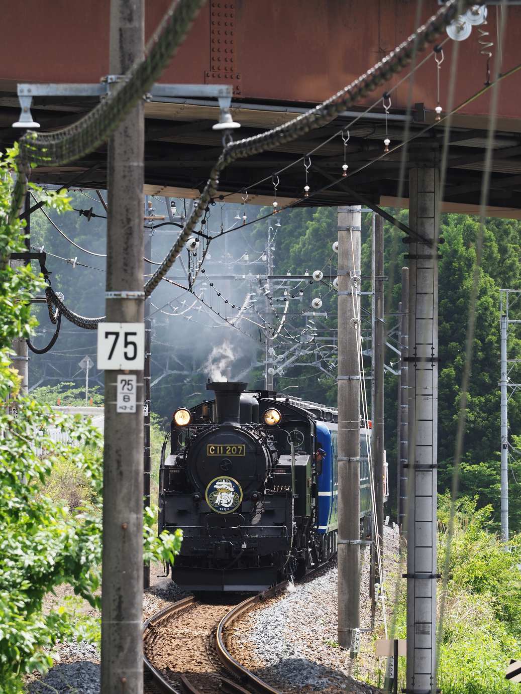 P5260879.jpg