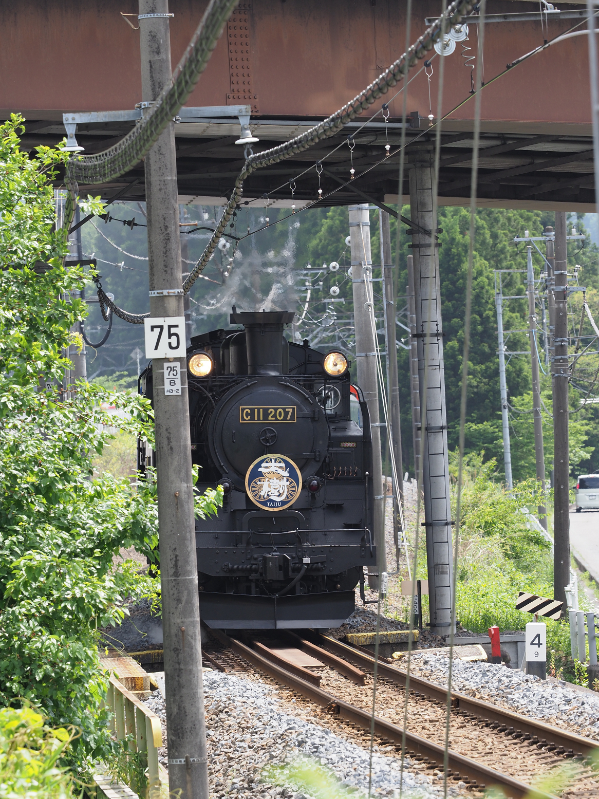 P5260890.jpg