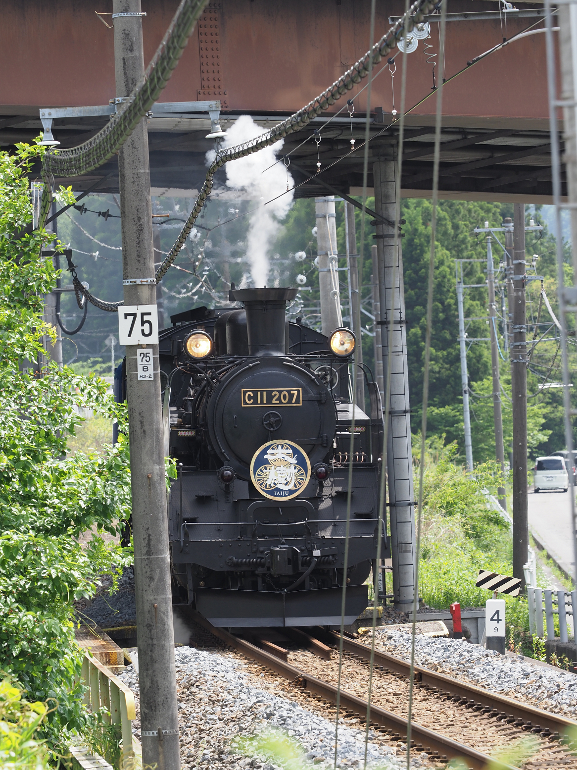 P5260895.jpg
