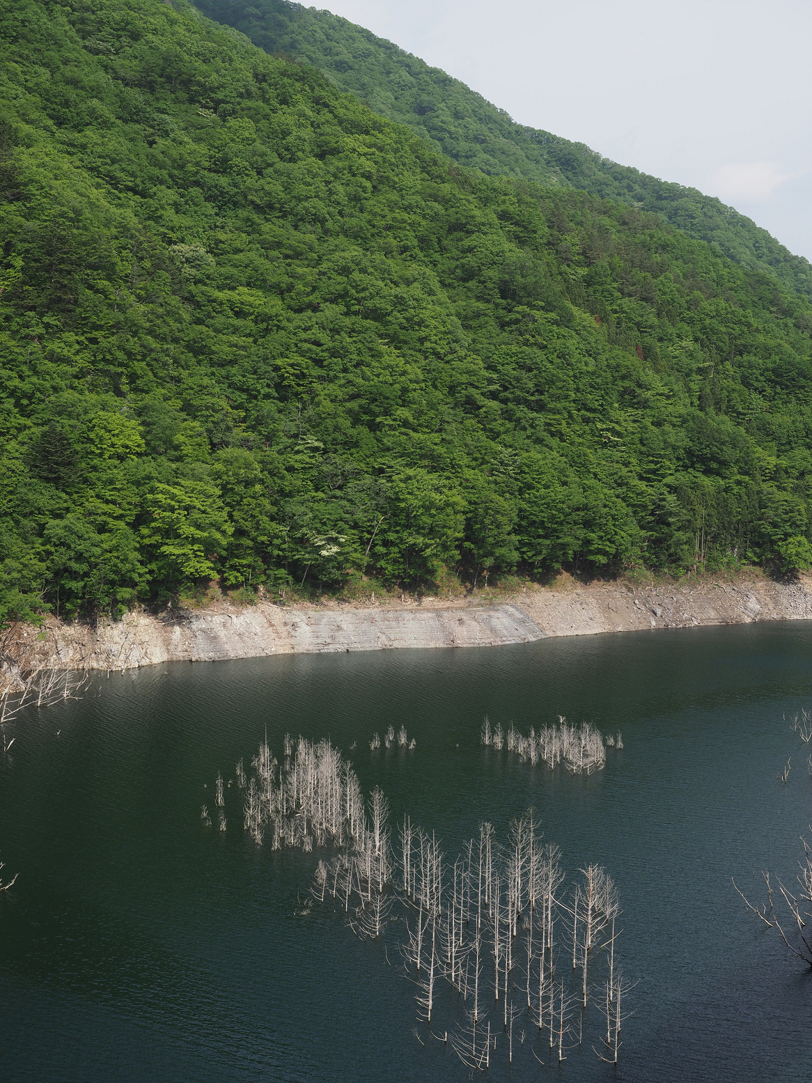 P5260957.jpg