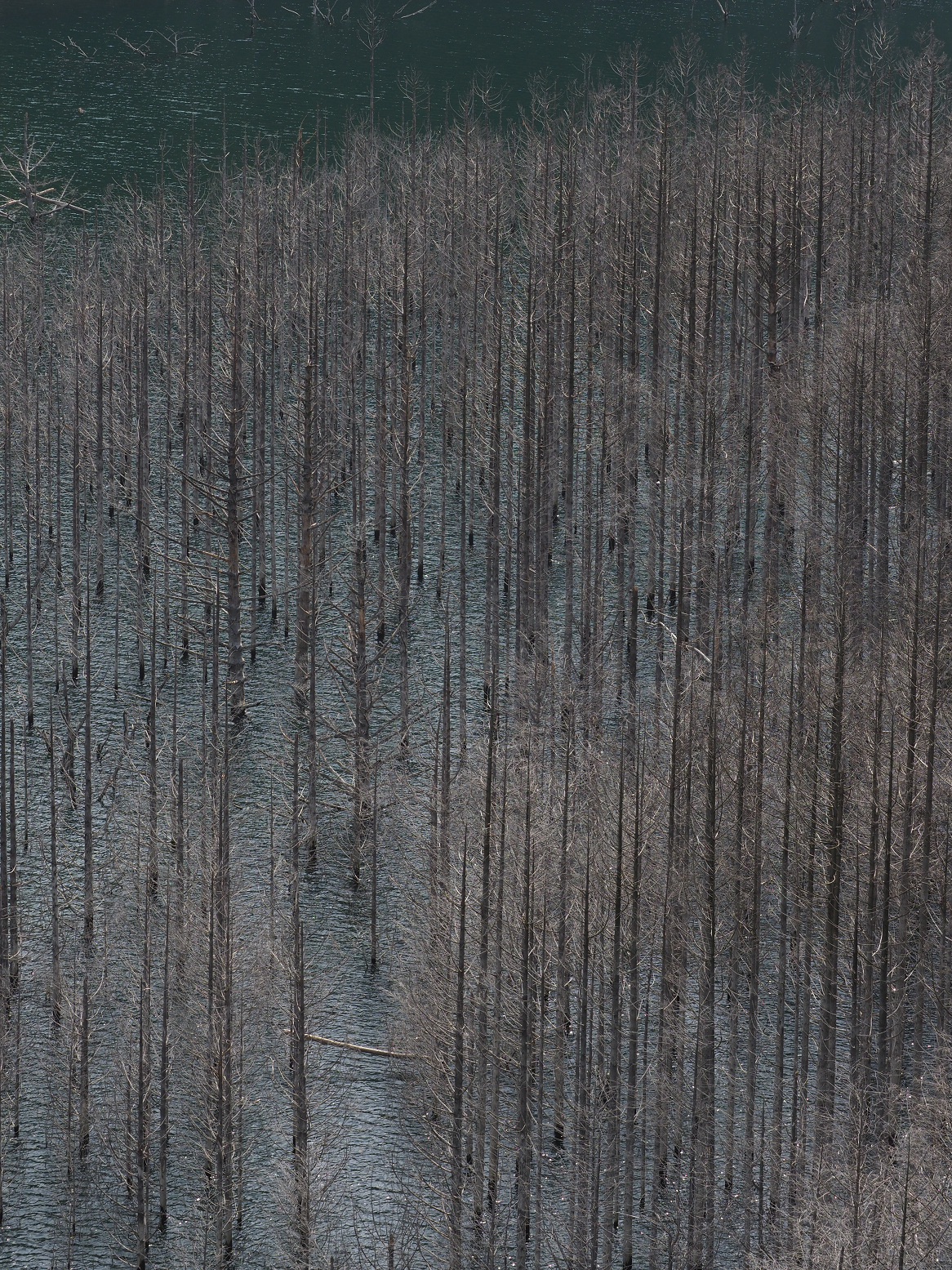 P5260962.jpg