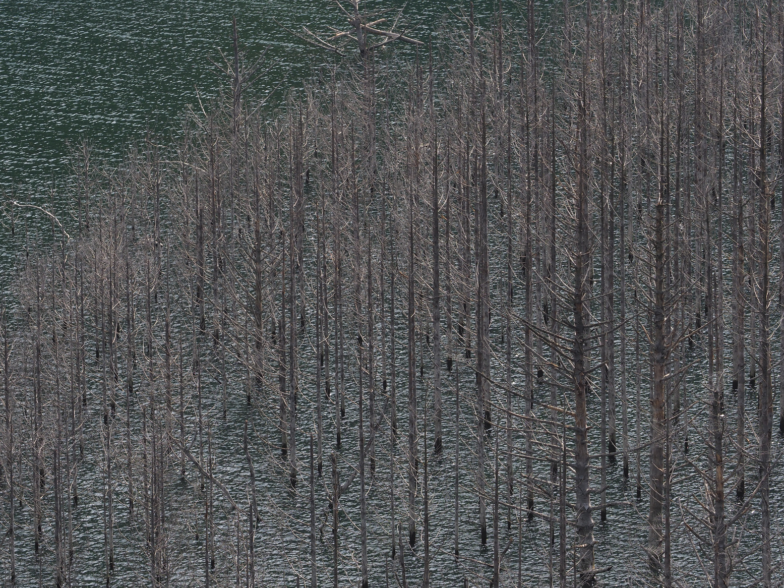 P5260975.jpg