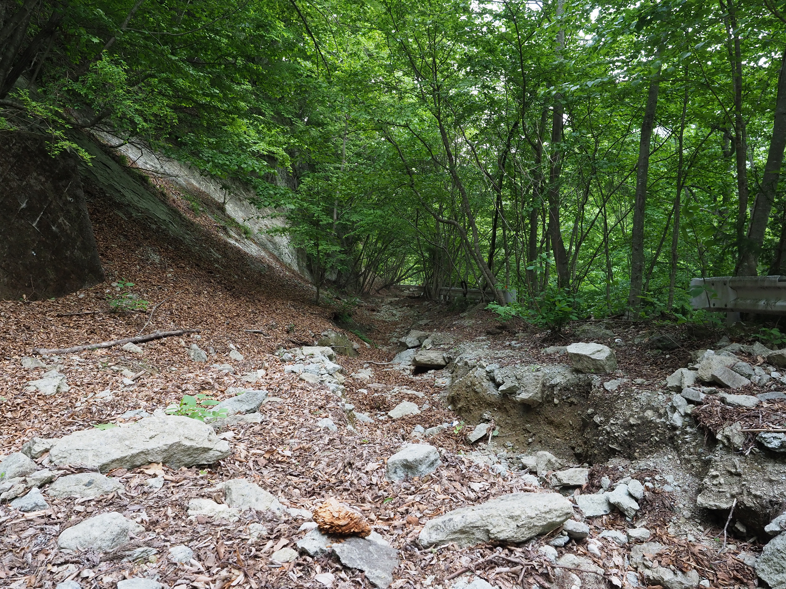 P5261001.jpg
