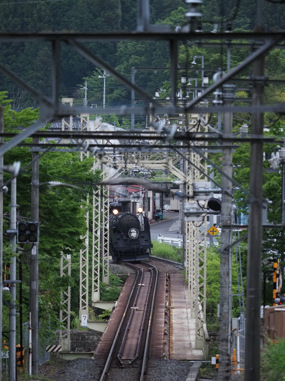 P5261056.jpg