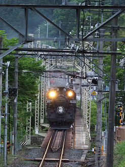 P5261078_thumb.png