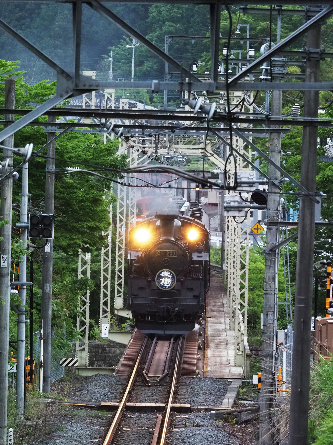 P5261082.jpg
