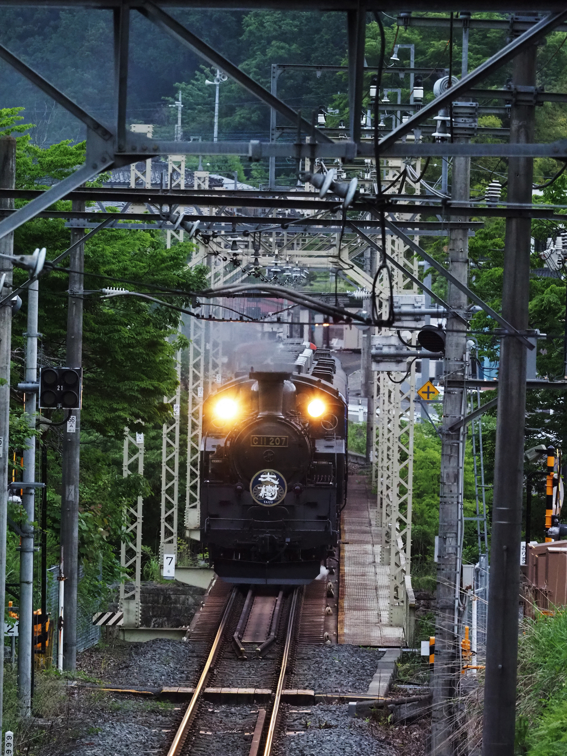 P5261087.jpg