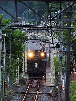 P5261087_thumb.png