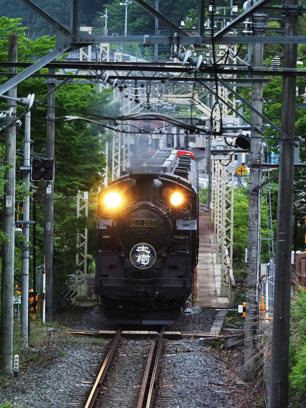 P5261095.jpg