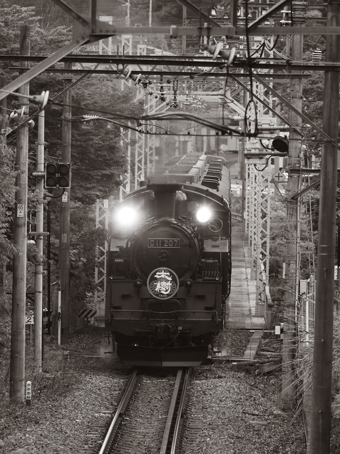 P5261100.jpg