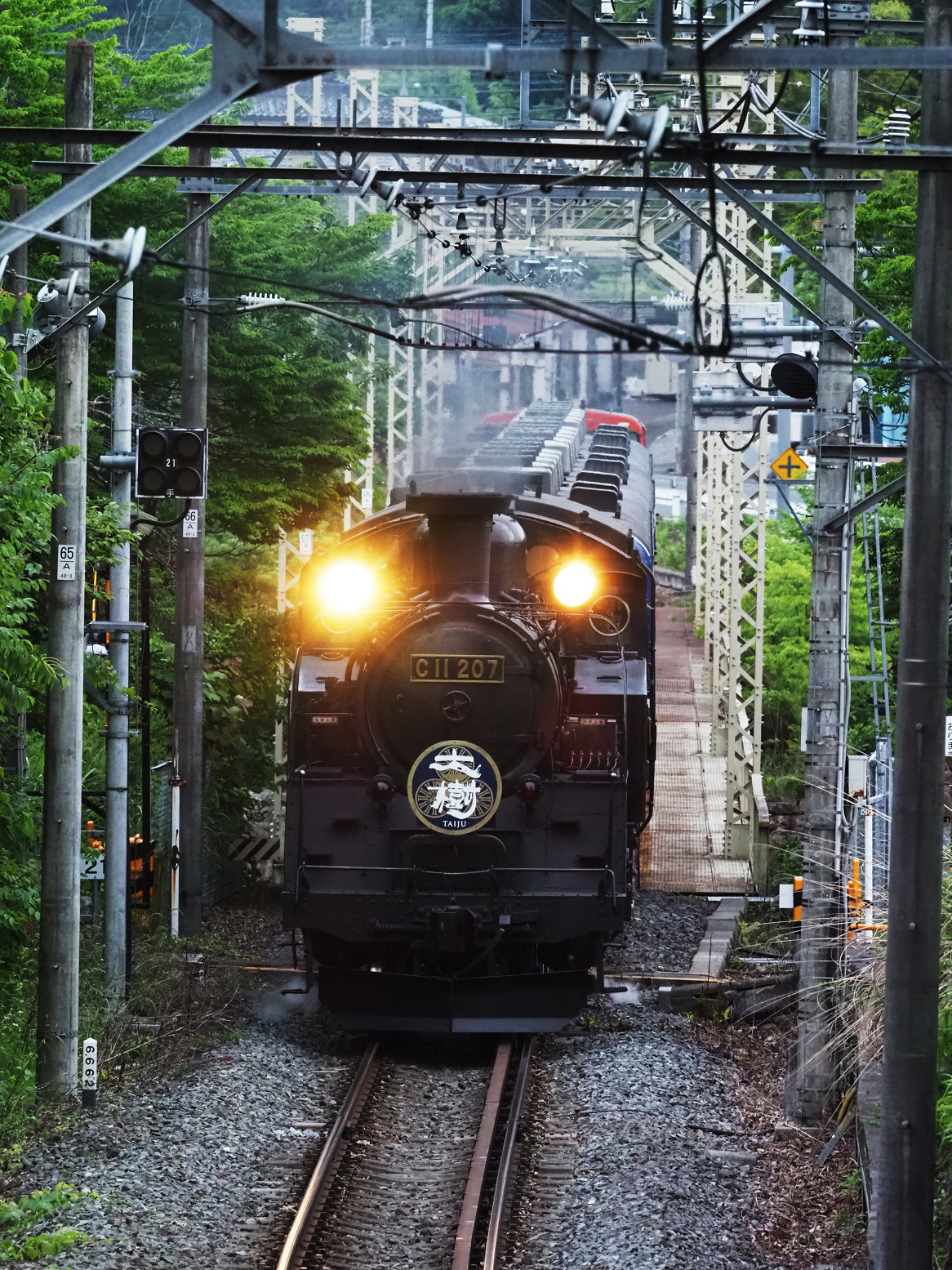 P5261105.jpg