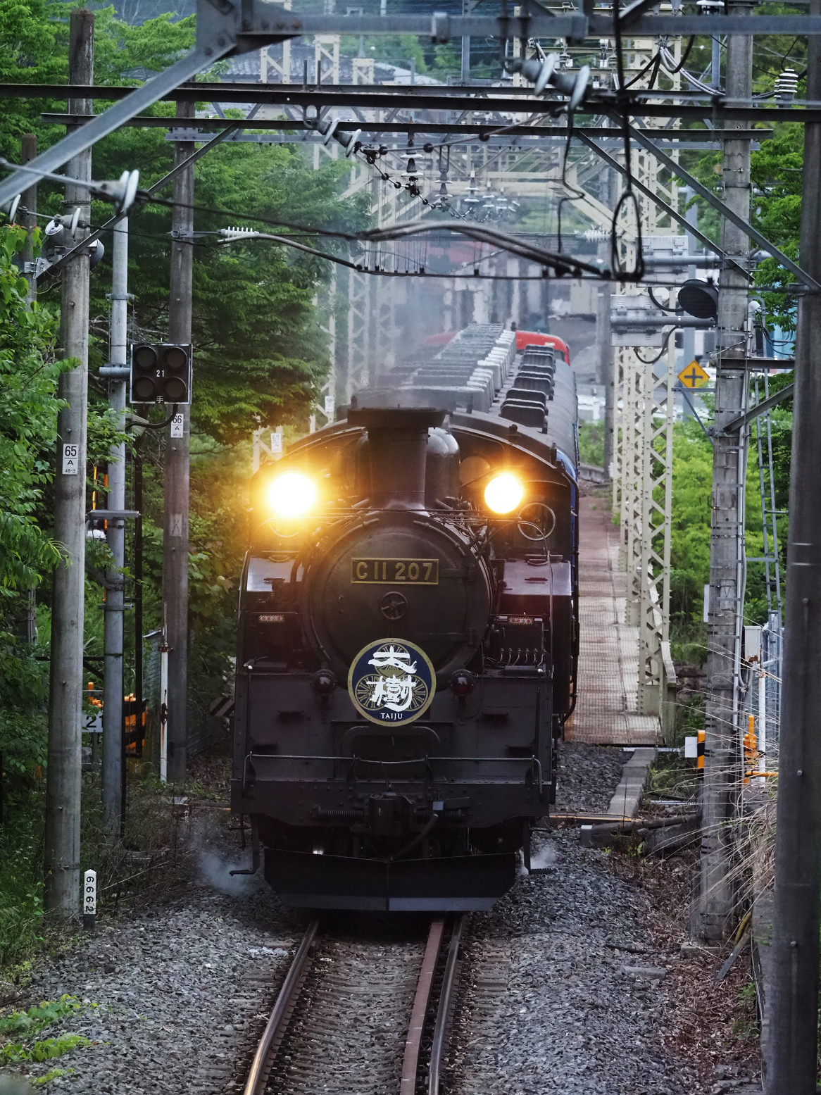 P5261108.jpg