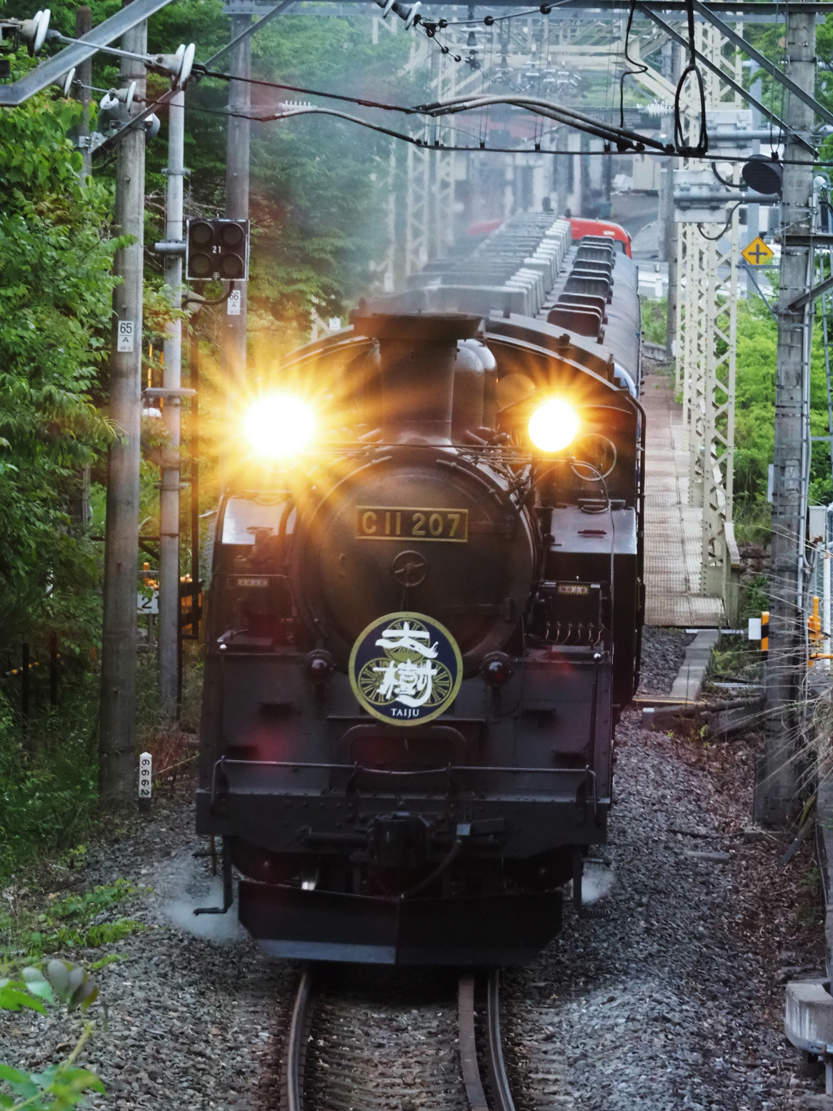 P5261115.jpg