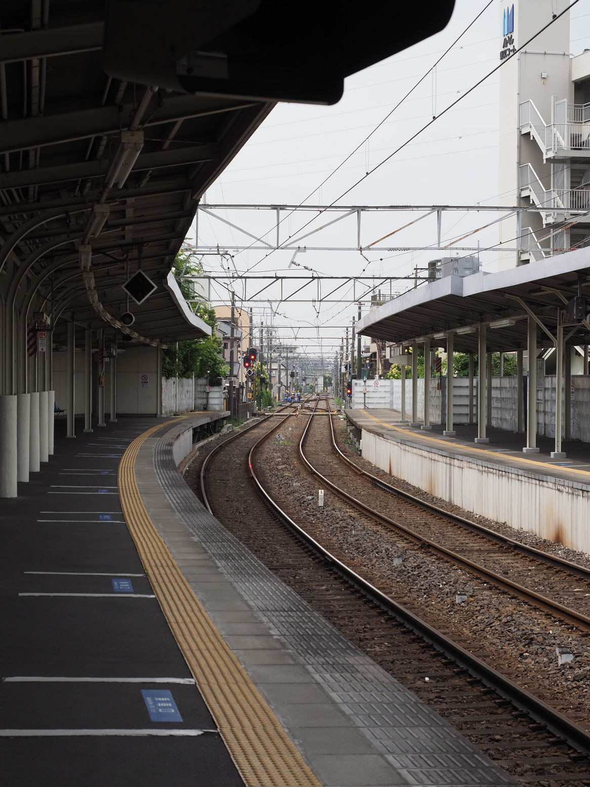 P6221202.jpg