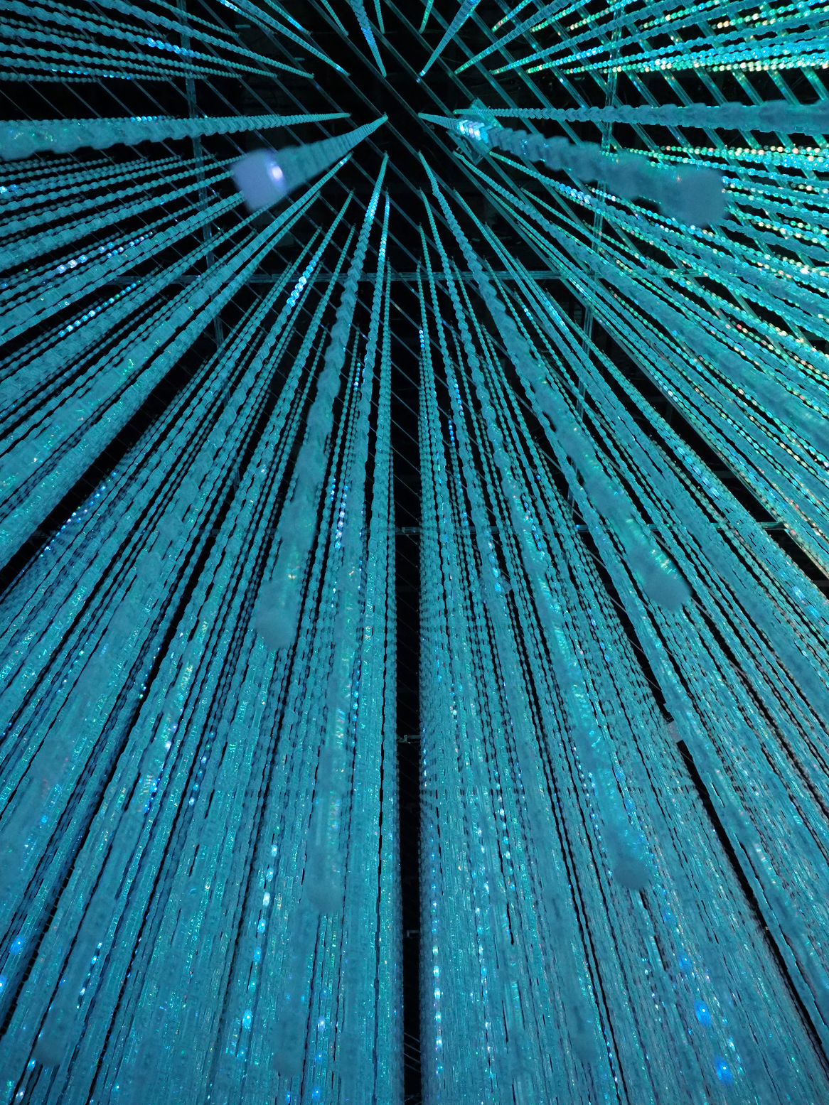P6221344.jpg