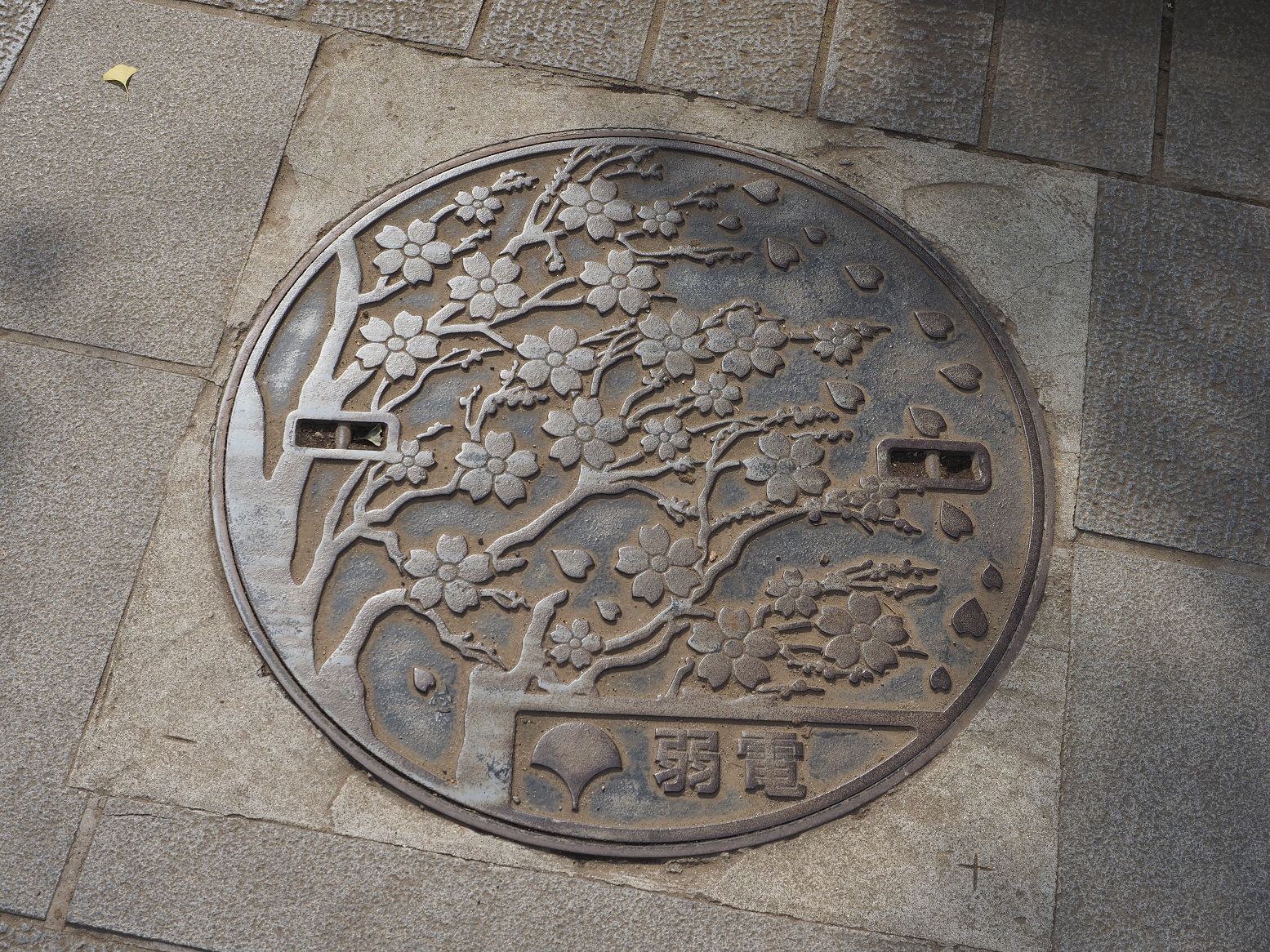 P6221448.jpg