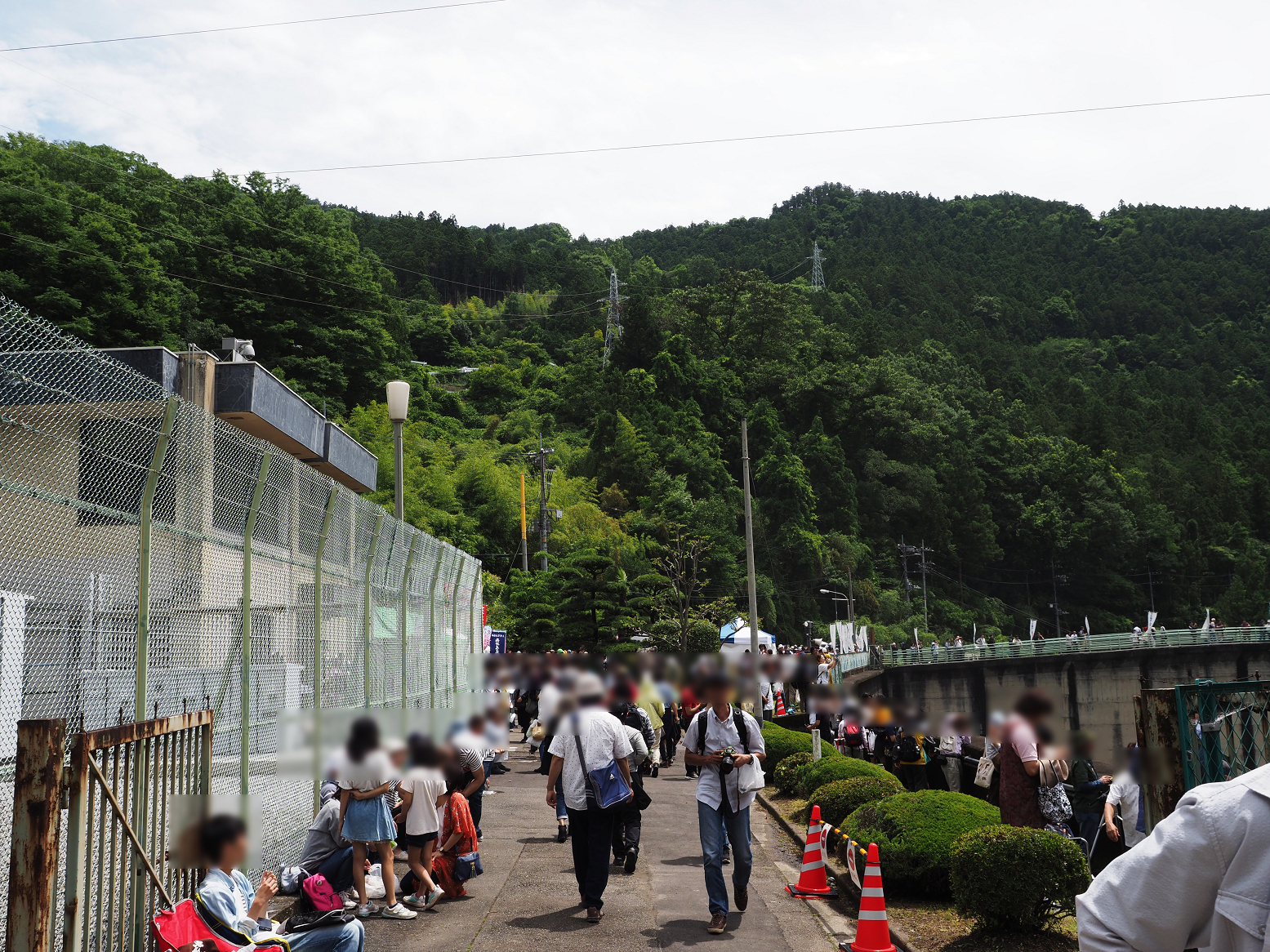 P6241549.jpg