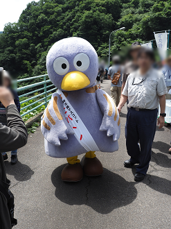 P6241582_thumb.png