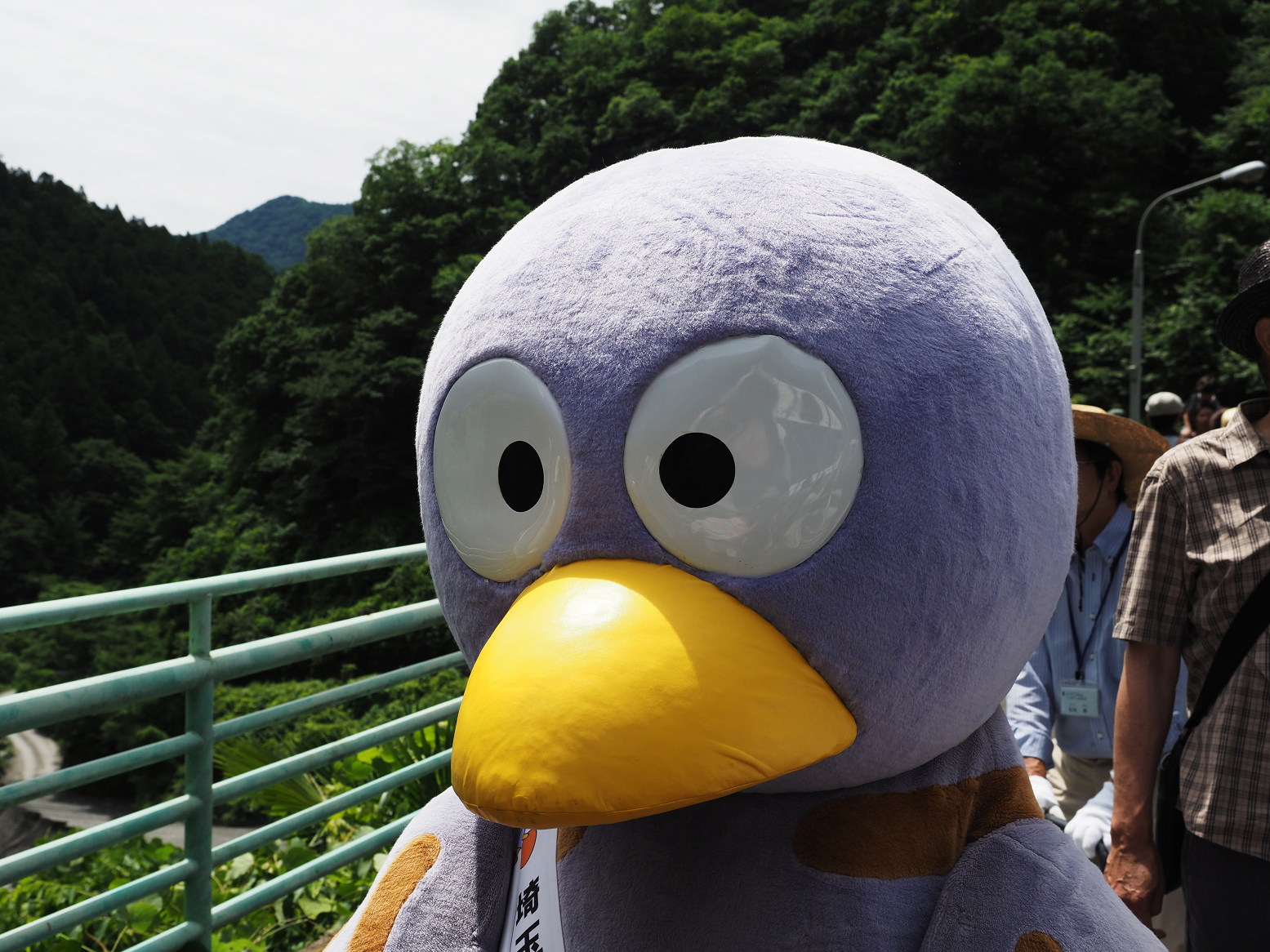P6241584.jpg