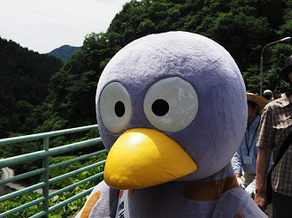 P6241584_thumb.png