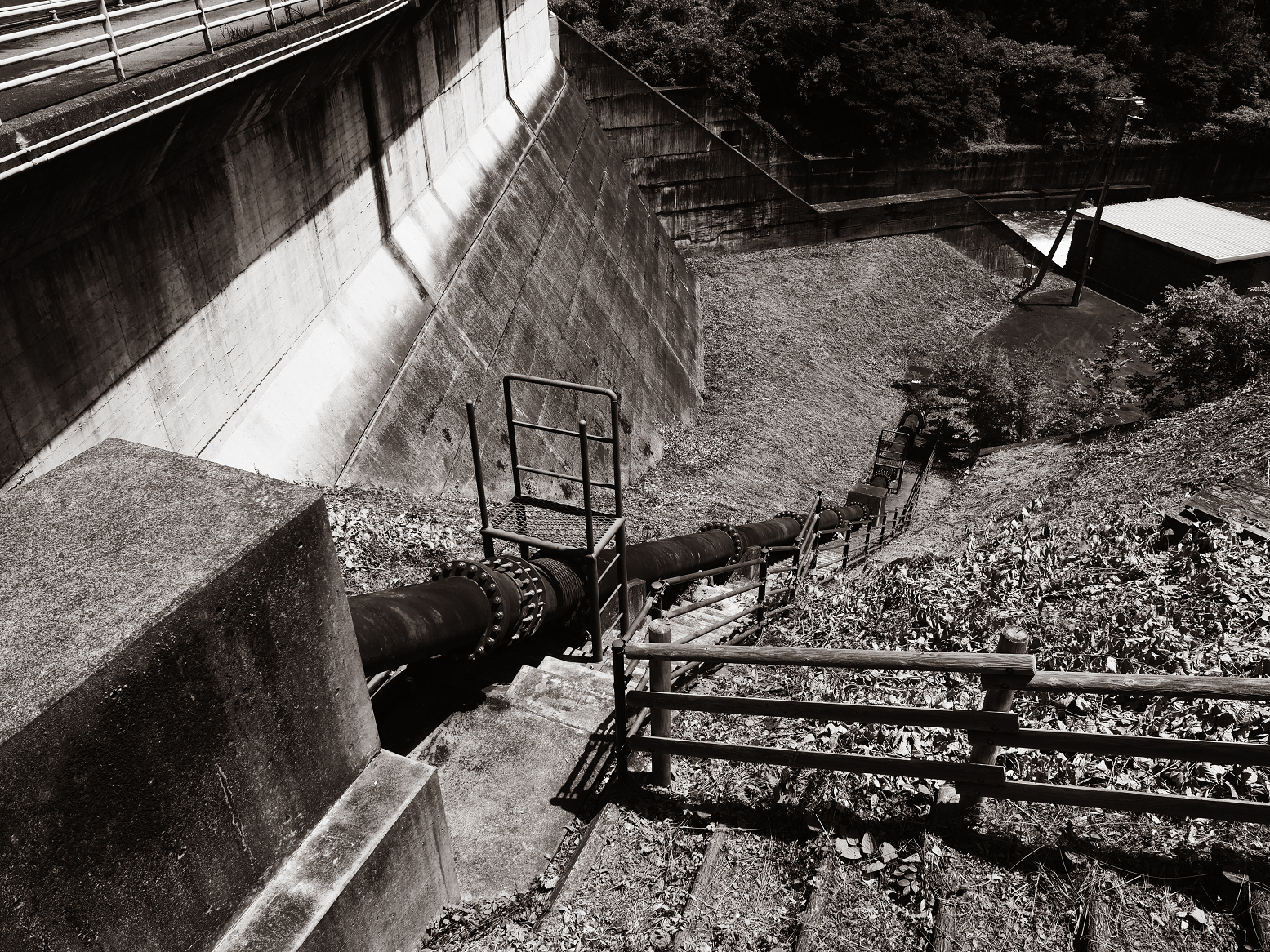 P6241616.jpg