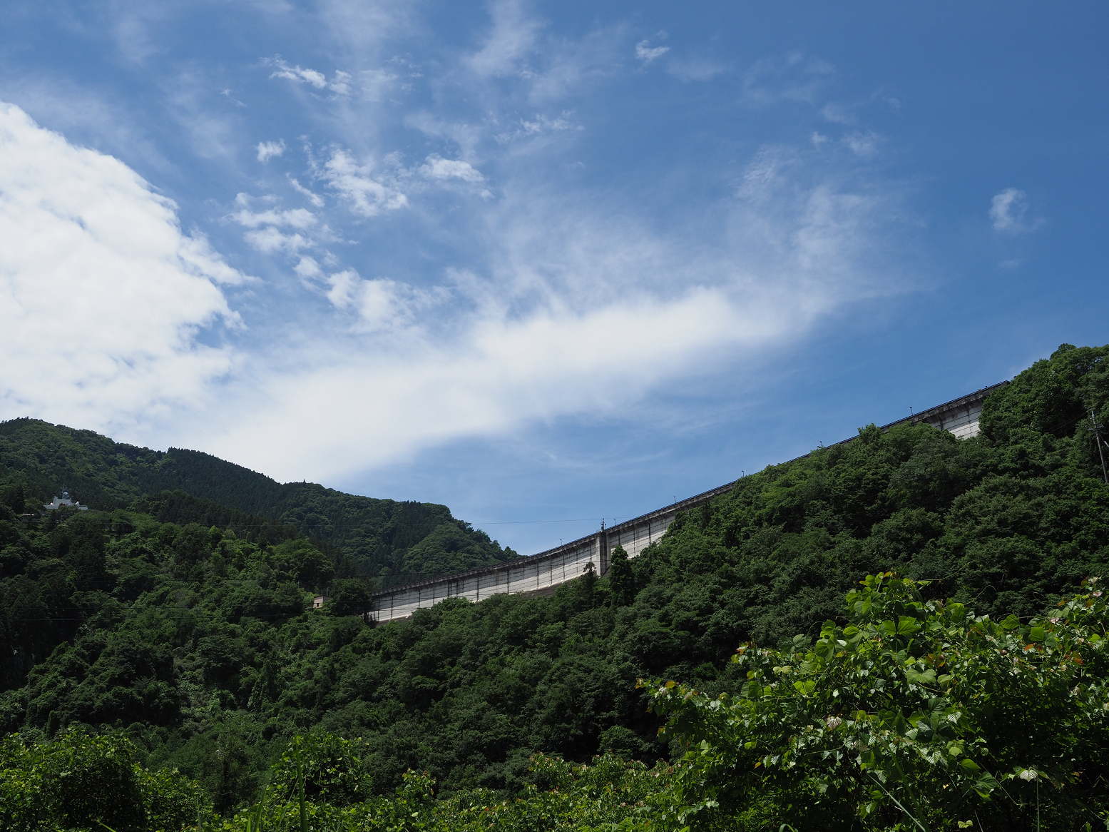 P6241629.jpg