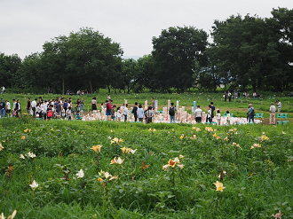 P7071717_thumb.png