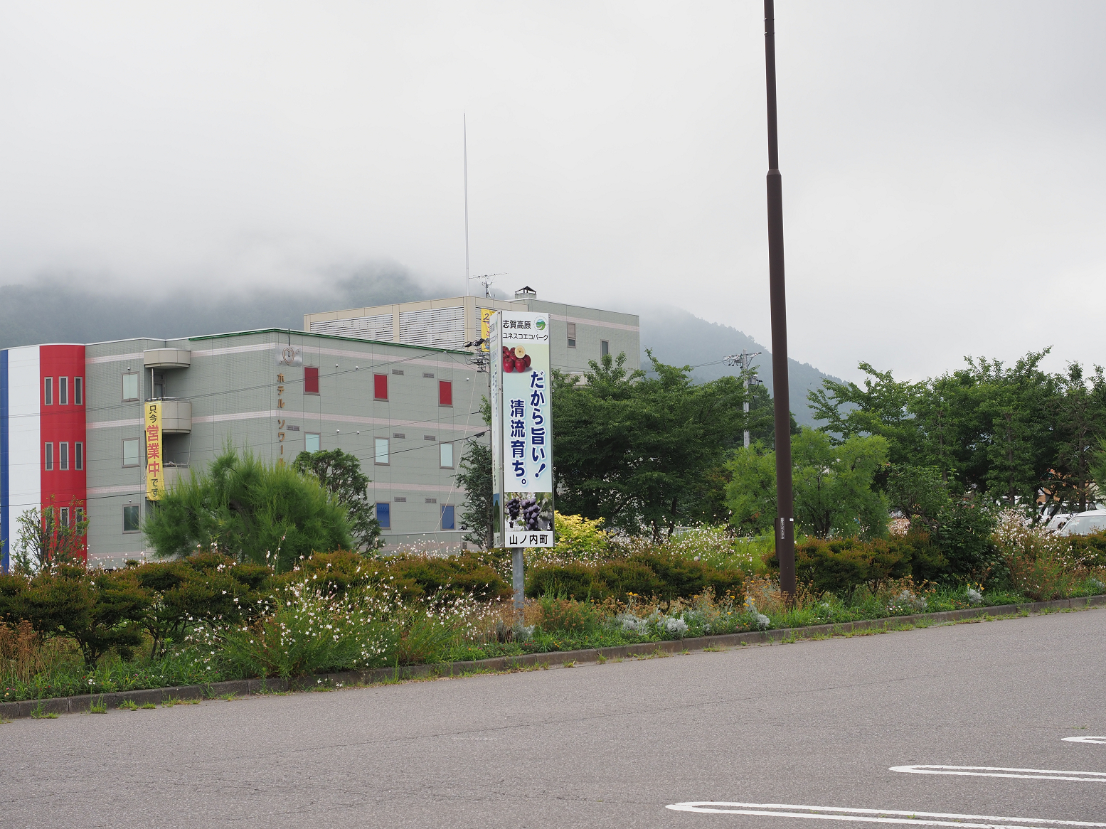 P7130005.jpg