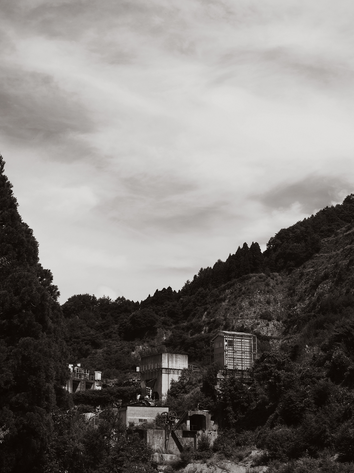 P7130035-.jpg