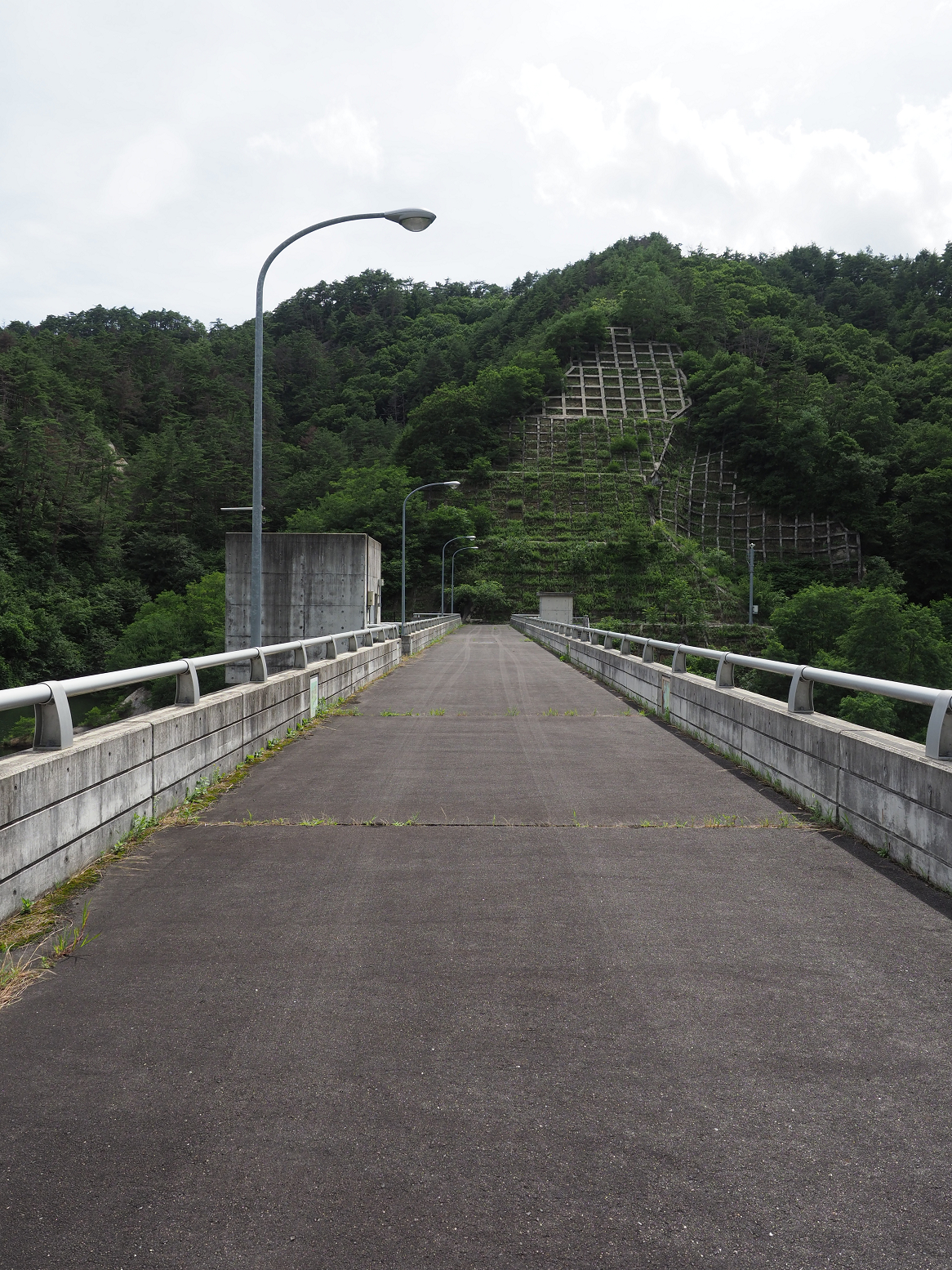 P7130112.jpg