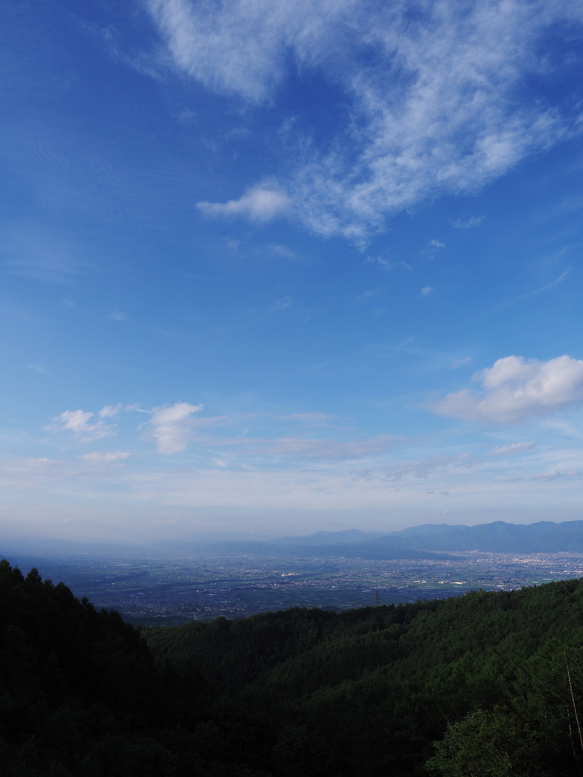 P7130146.jpg