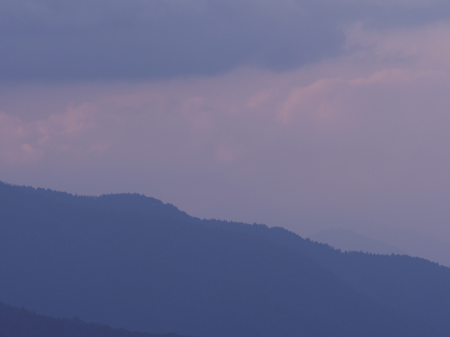 P7130149.jpg