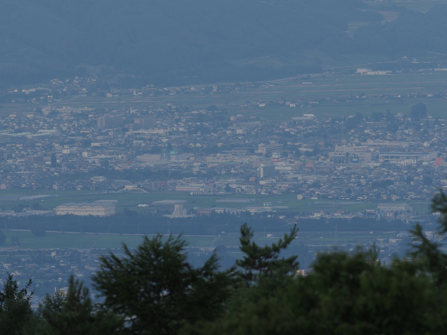 P7130151.jpg