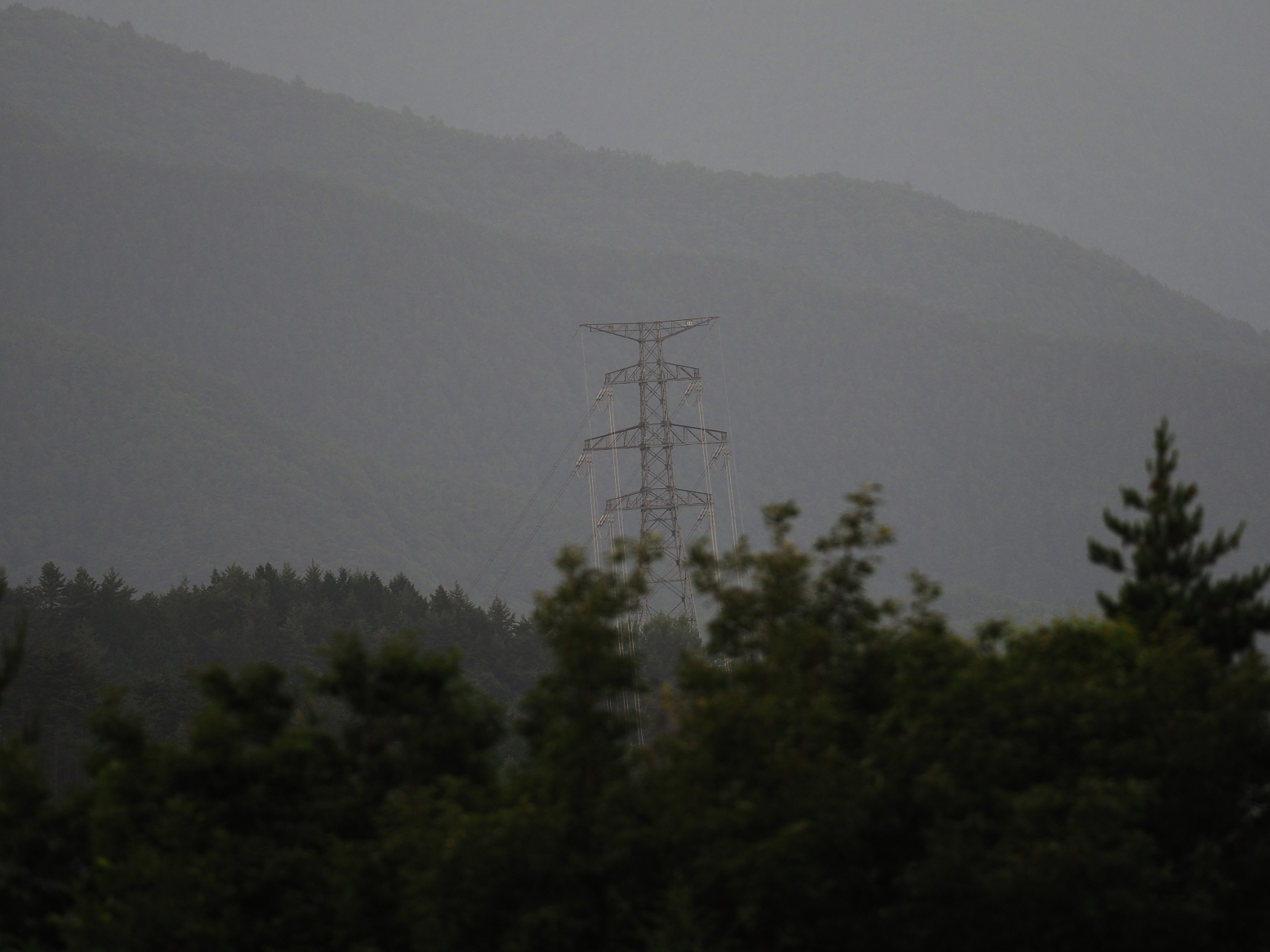 P7130161.jpg