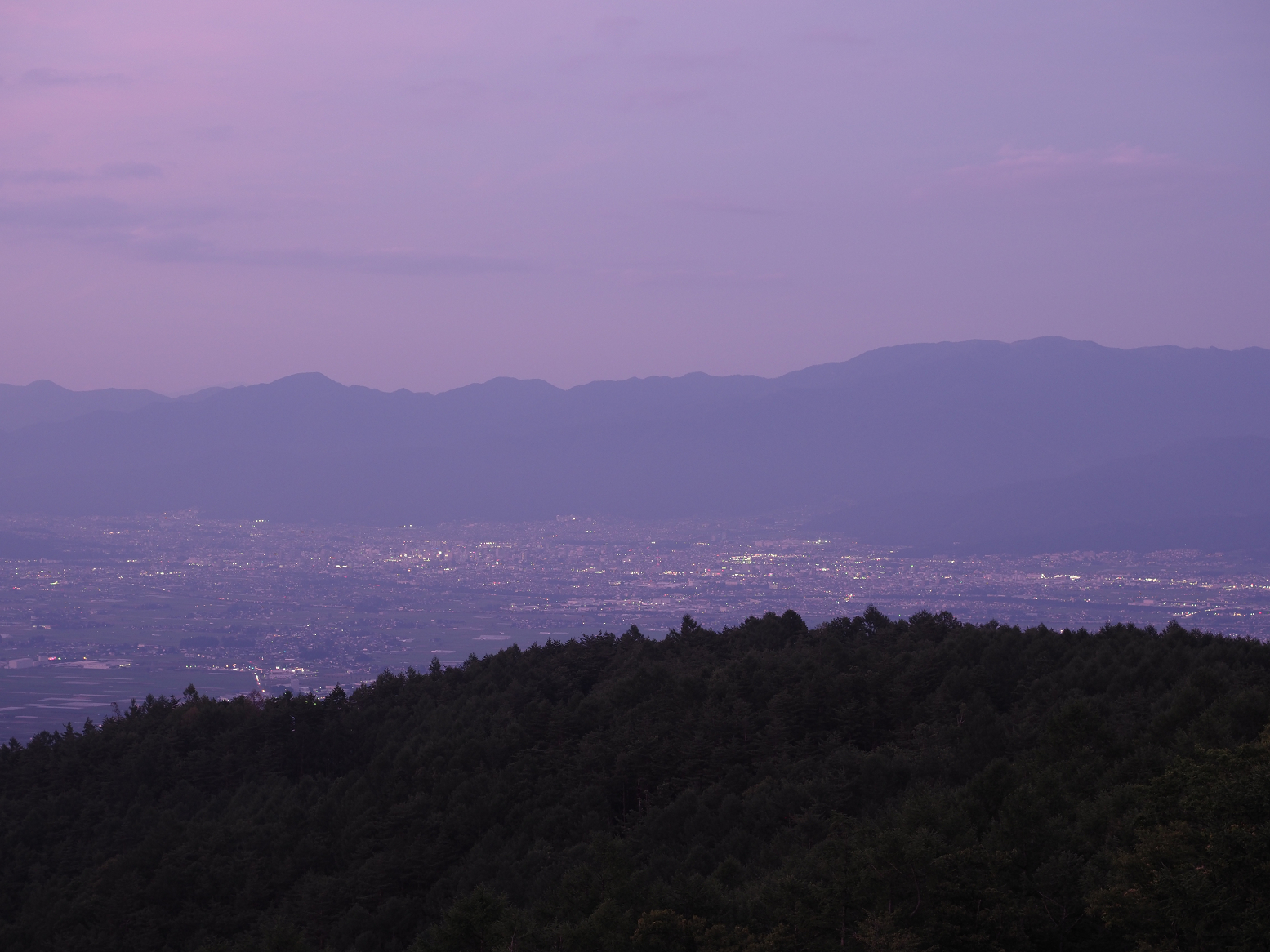 P7130201.jpg