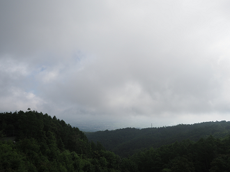 P7140261_thumb.png