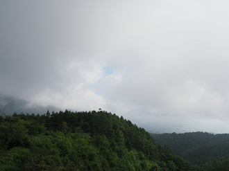 P7140264_thumb.png