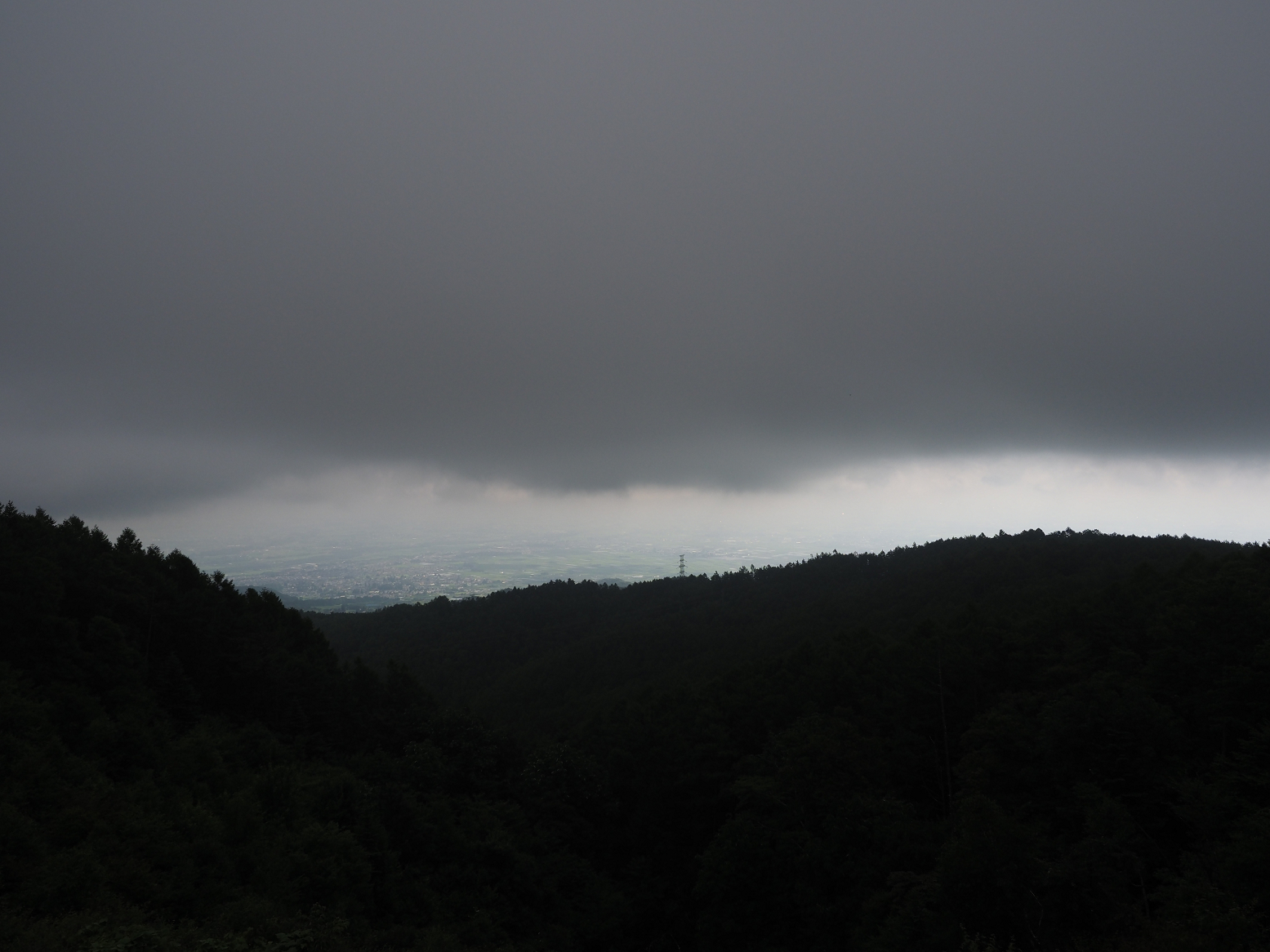 P7140279.jpg