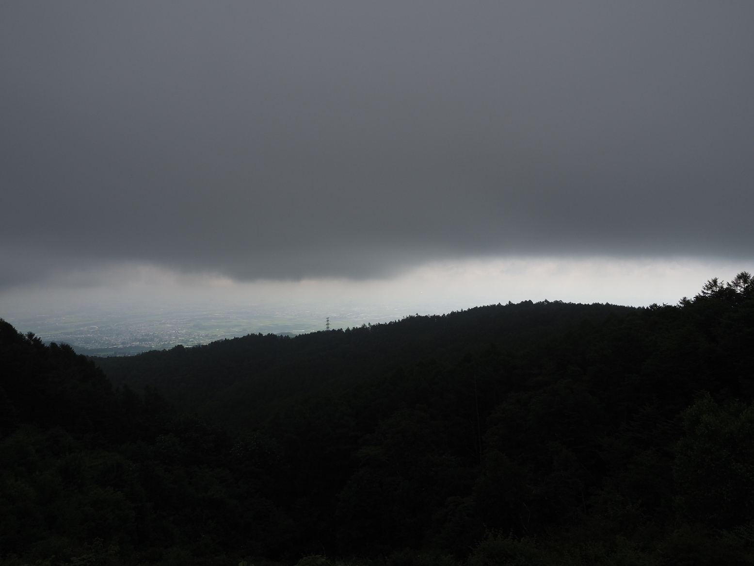 P7140281.jpg