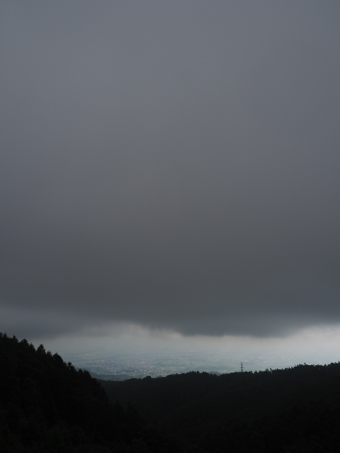 P7140282.jpg