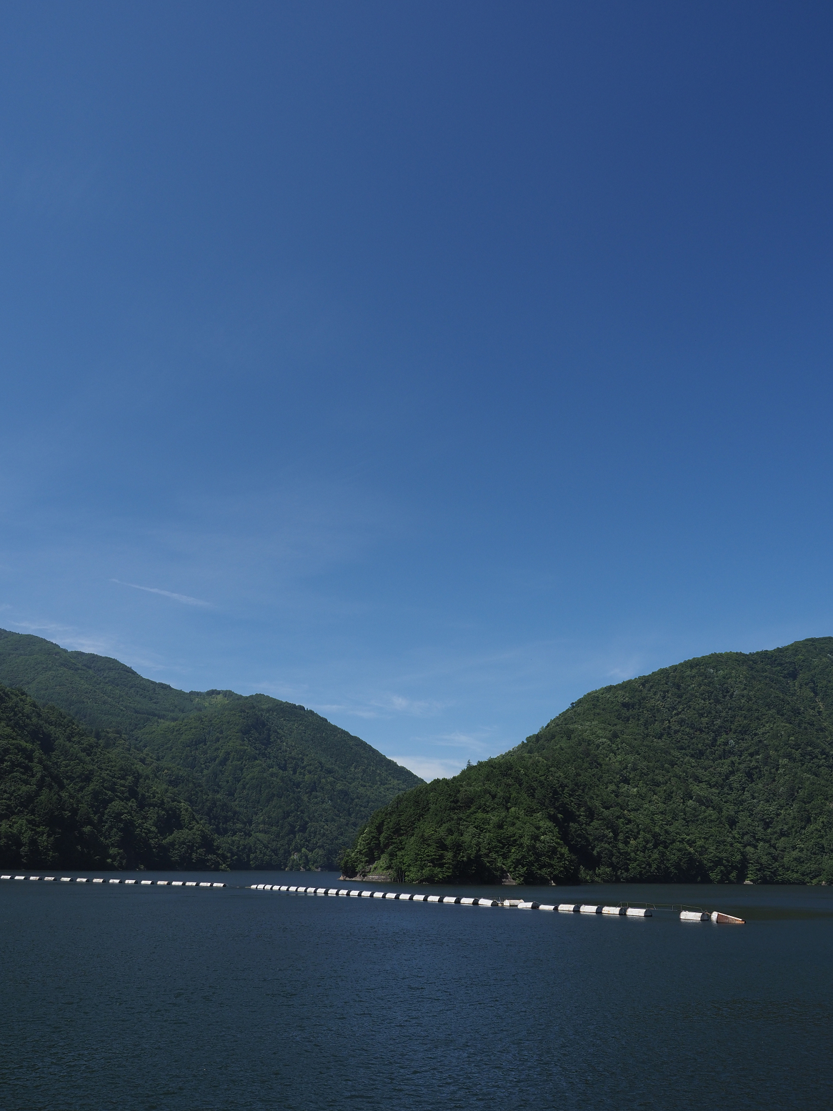 P7140310.jpg