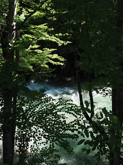 P7140312_thumb.png
