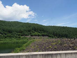 P7140377_thumb.png