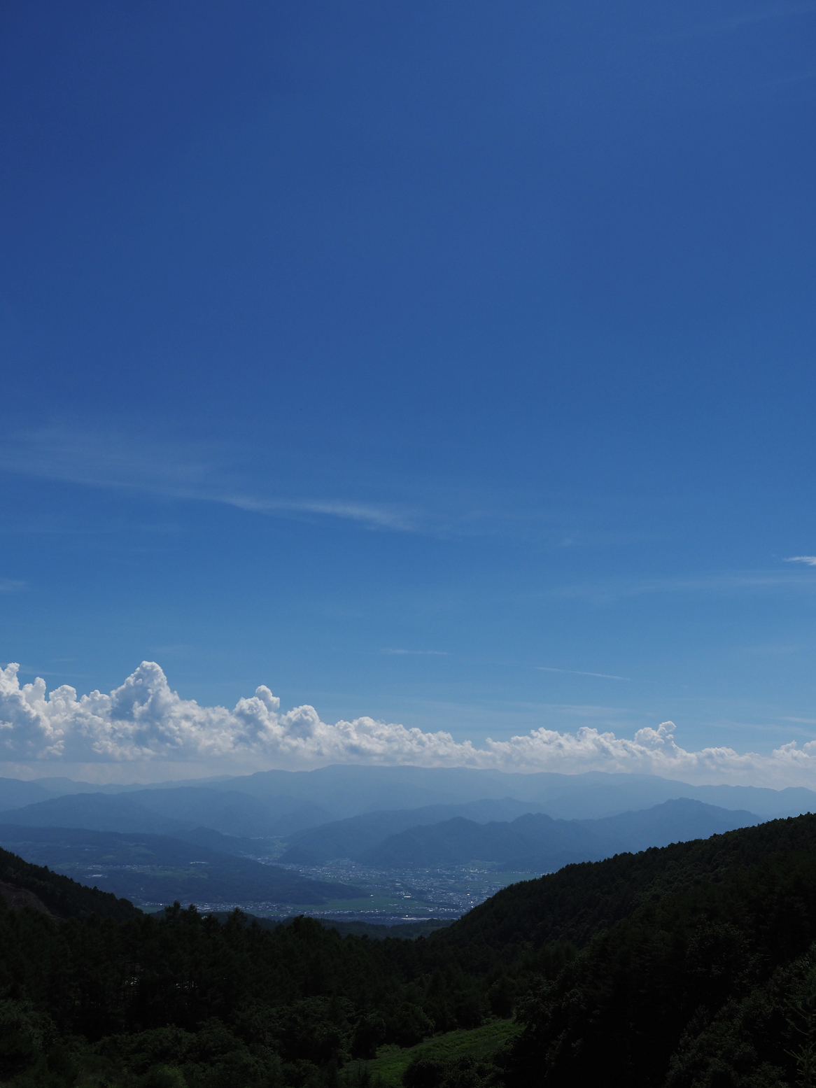 P7140381.jpg