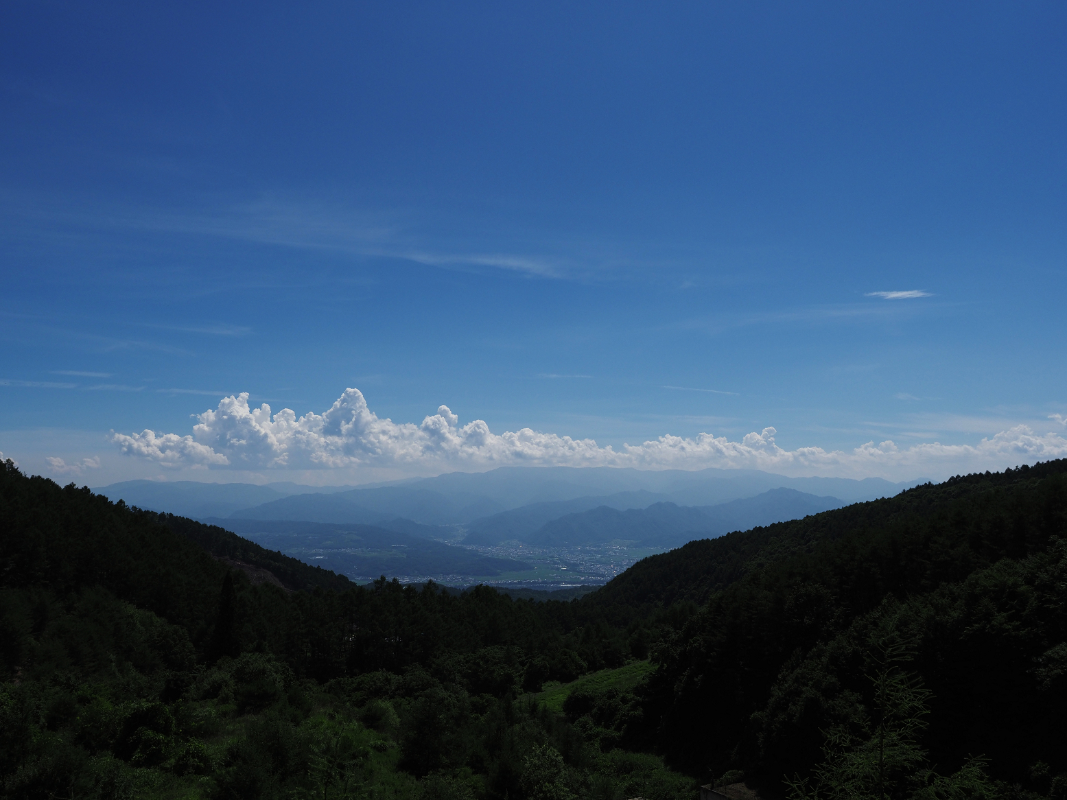 P7140382.jpg