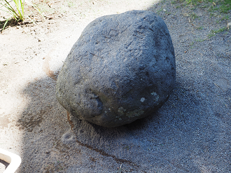 P7140438_thumb.png