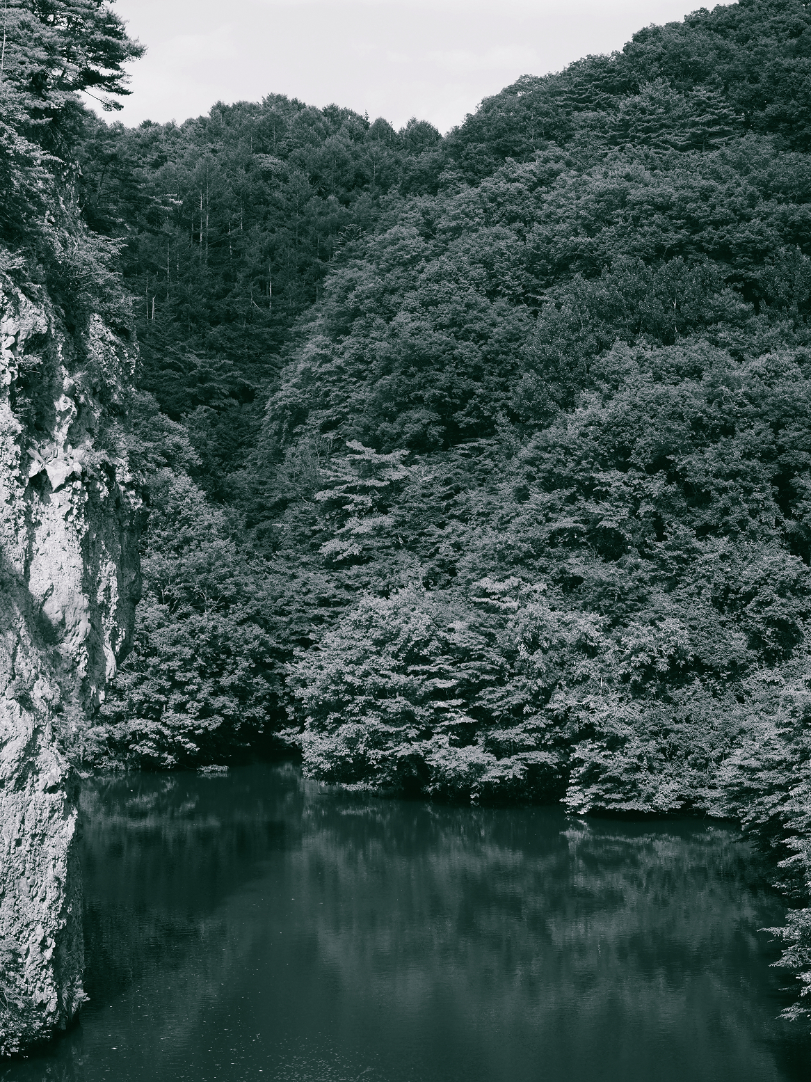 P7140456-.jpg